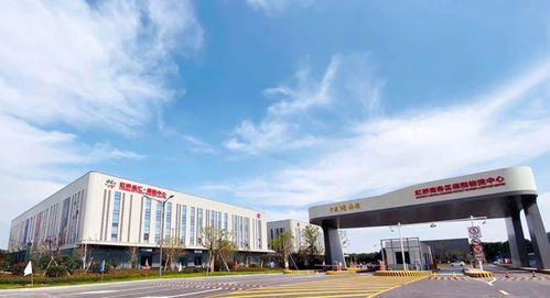 外贸浅表开采将结束，繁花中的上海老外贸转型开拓企业信用调查新生意